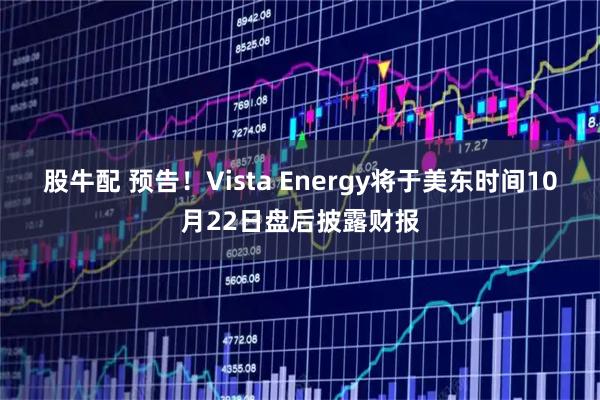股牛配 预告！Vista Energy将于美东时间10月22日盘后披露财报