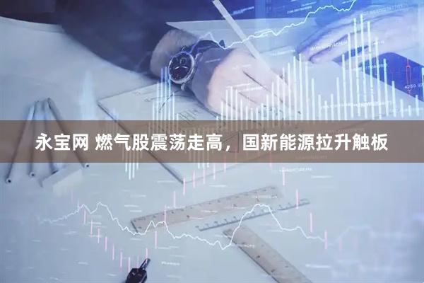 永宝网 燃气股震荡走高，国新能源拉升触板