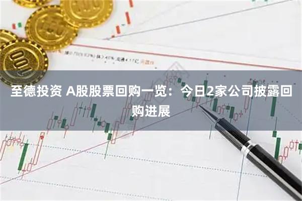 至德投资 A股股票回购一览：今日2家公司披露回购进展