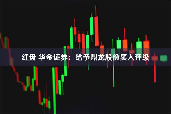 红盘 华金证券：给予鼎龙股份买入评级