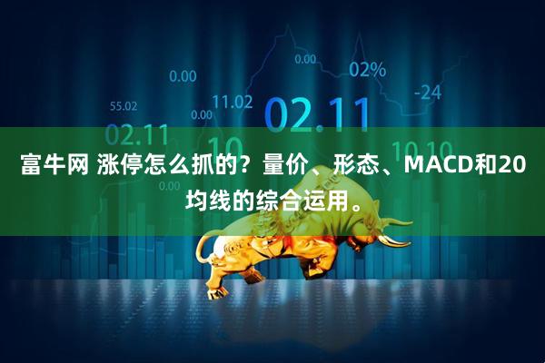 富牛网 涨停怎么抓的？量价、形态、MACD和20均线的综合运用。