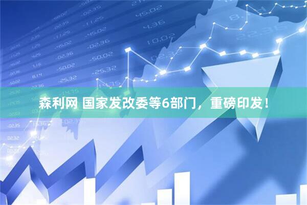 森利网 国家发改委等6部门，重磅印发！