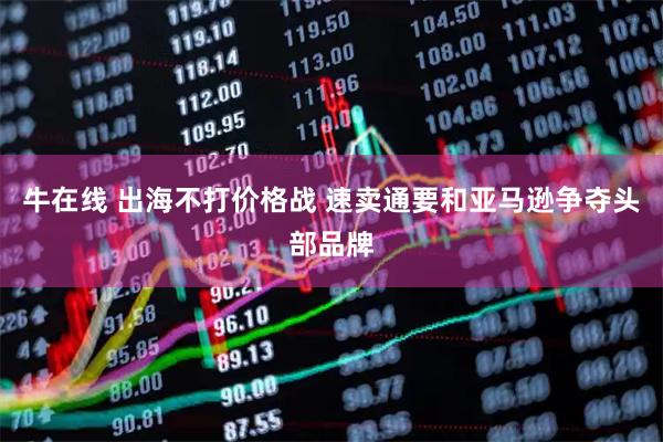 牛在线 出海不打价格战 速卖通要和亚马逊争夺头部品牌