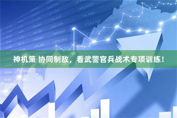 神机策 协同制敌，看武警官兵战术专项训练！